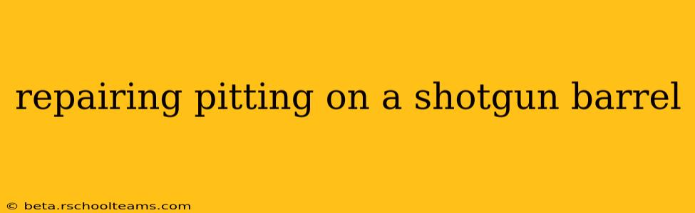repairing pitting on a shotgun barrel