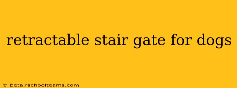 retractable stair gate for dogs