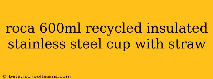 roca 600ml recycled insulated stainless steel cup with straw