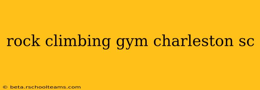 rock climbing gym charleston sc