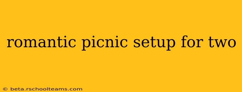 romantic picnic setup for two