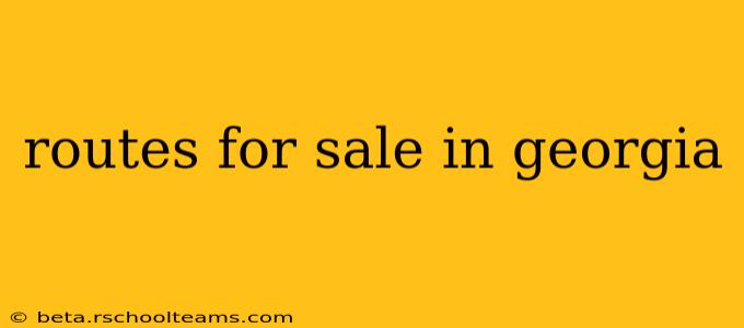 routes for sale in georgia