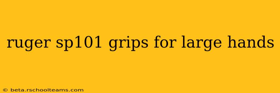 ruger sp101 grips for large hands