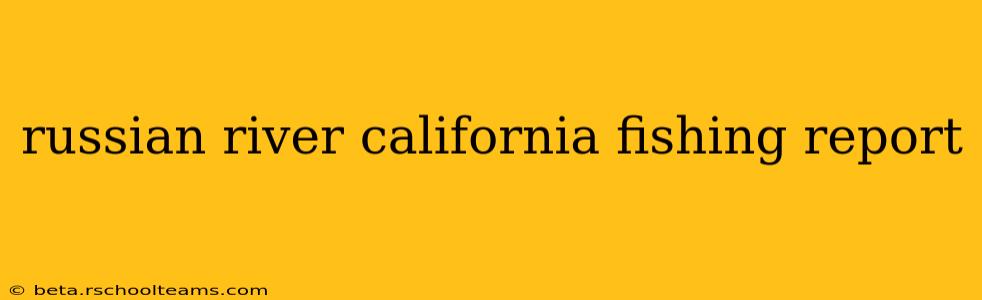russian river california fishing report