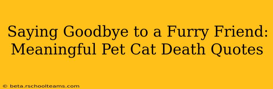 Saying Goodbye to a Furry Friend: Meaningful Pet Cat Death Quotes