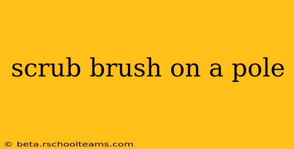 scrub brush on a pole