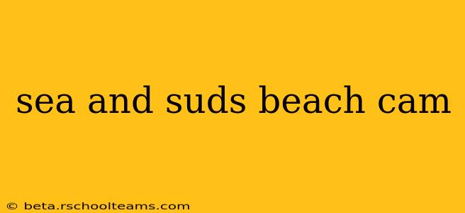 sea and suds beach cam