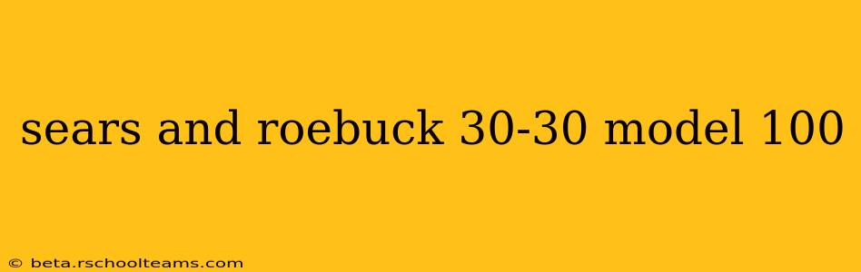 sears and roebuck 30-30 model 100