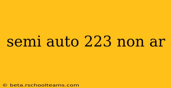 semi auto 223 non ar