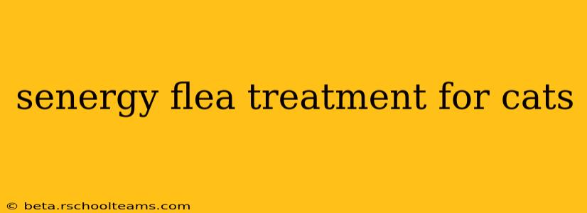 senergy flea treatment for cats