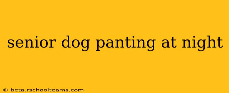 senior dog panting at night