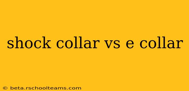 shock collar vs e collar