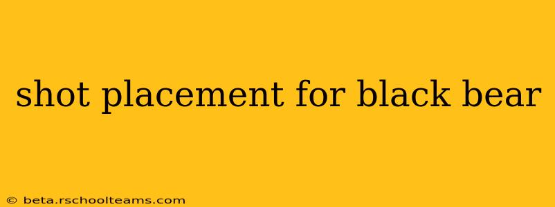 shot placement for black bear