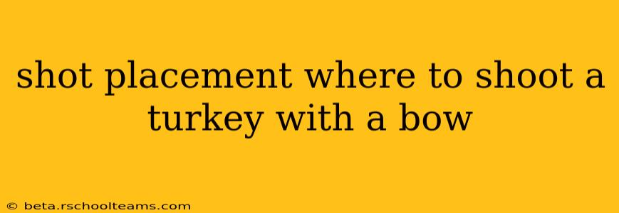 shot placement where to shoot a turkey with a bow