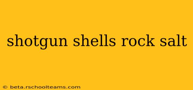 shotgun shells rock salt