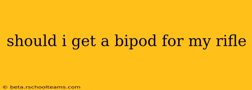 should i get a bipod for my rifle