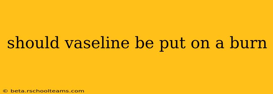 should vaseline be put on a burn