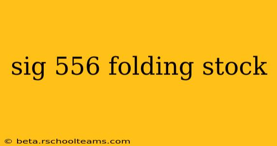 sig 556 folding stock