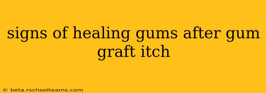 signs of healing gums after gum graft itch