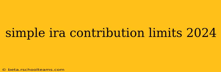 simple ira contribution limits 2024