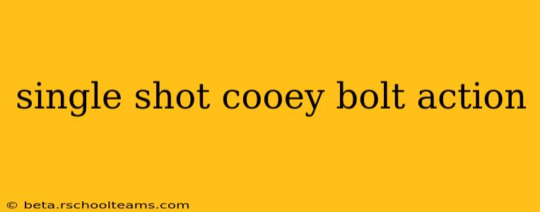 single shot cooey bolt action
