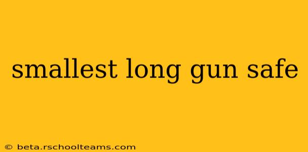 smallest long gun safe