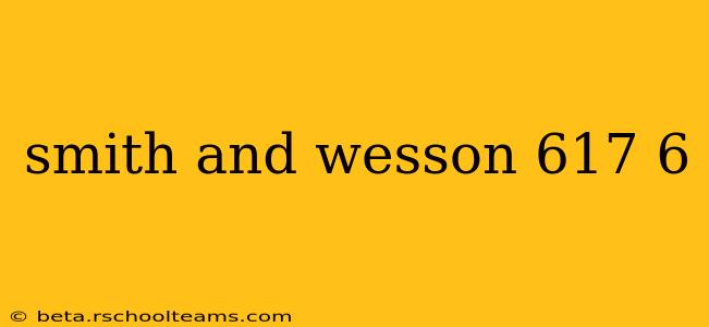 smith and wesson 617 6