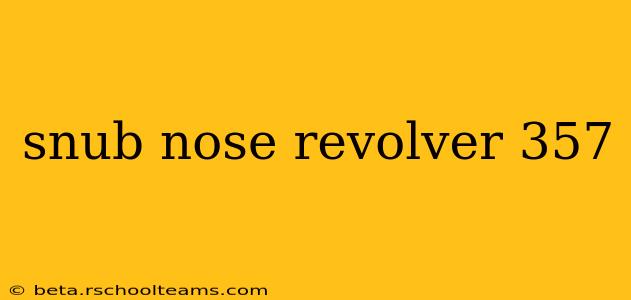 snub nose revolver 357
