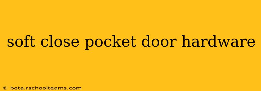 soft close pocket door hardware