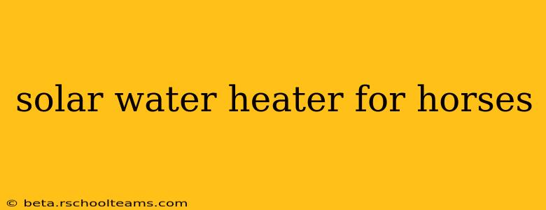 solar water heater for horses