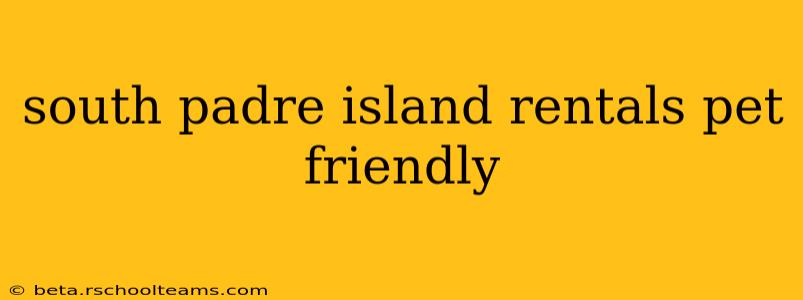 south padre island rentals pet friendly