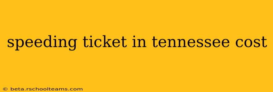 speeding ticket in tennessee cost