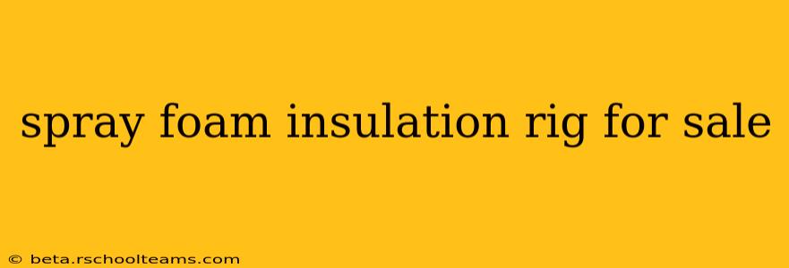 spray foam insulation rig for sale