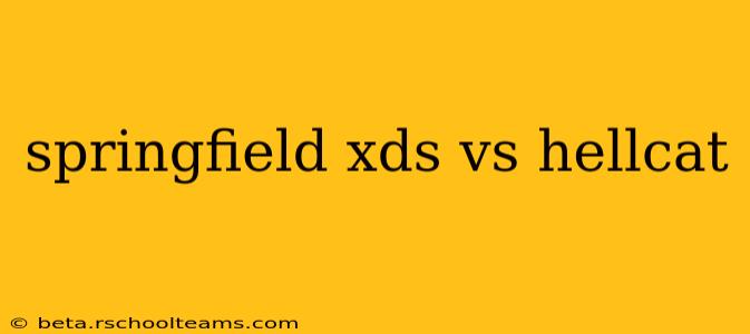 springfield xds vs hellcat