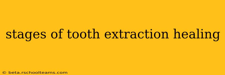 stages of tooth extraction healing