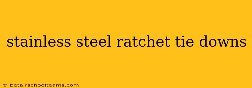 stainless steel ratchet tie downs