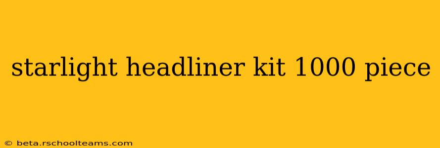 starlight headliner kit 1000 piece