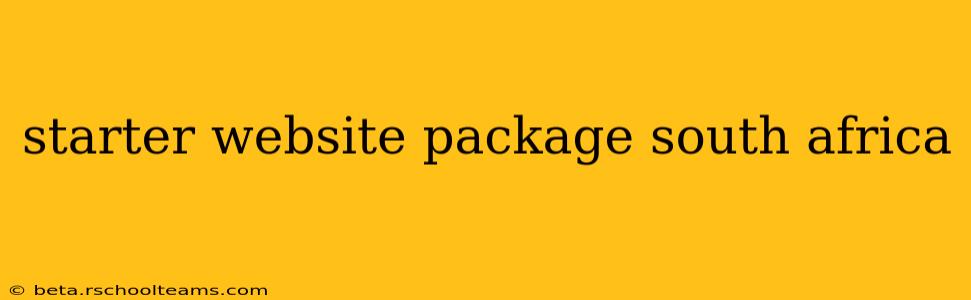 starter website package south africa