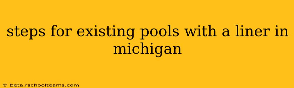 steps for existing pools with a liner in michigan