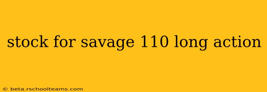 stock for savage 110 long action