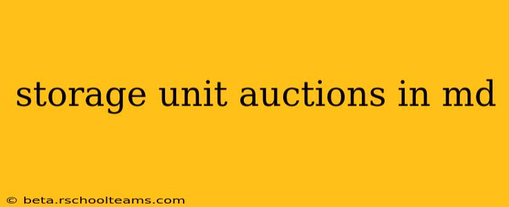 storage unit auctions in md
