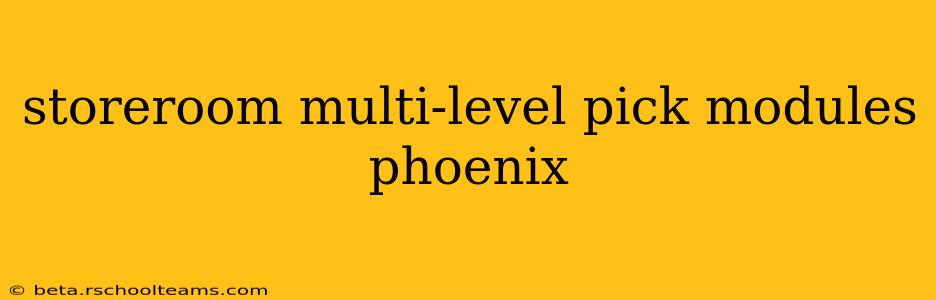 storeroom multi-level pick modules phoenix