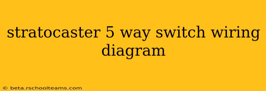 stratocaster 5 way switch wiring diagram