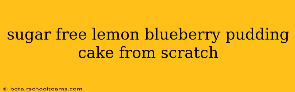 sugar free lemon blueberry pudding cake from scratch