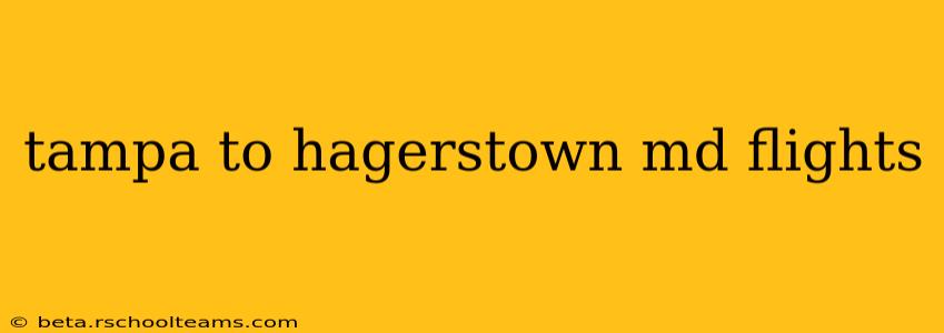 tampa to hagerstown md flights