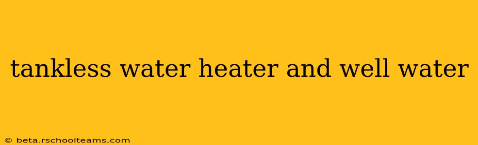 tankless water heater and well water
