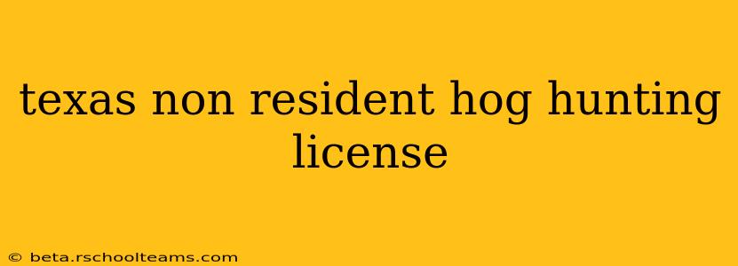texas non resident hog hunting license