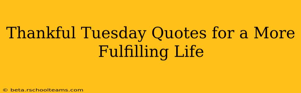 Thankful Tuesday Quotes for a More Fulfilling Life