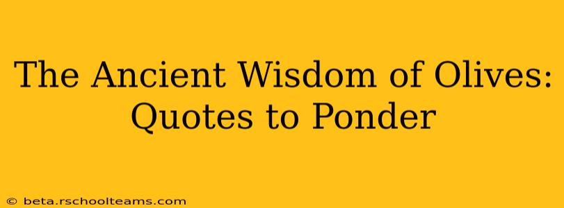 The Ancient Wisdom of Olives: Quotes to Ponder