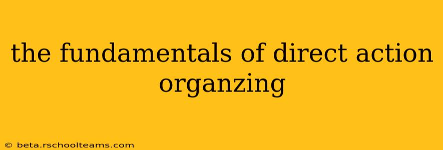 the fundamentals of direct action organzing